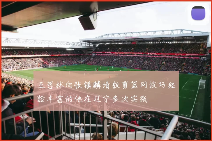 王哲林向张镇麟请教剪篮网技巧经验丰富的他在辽宁多次实践