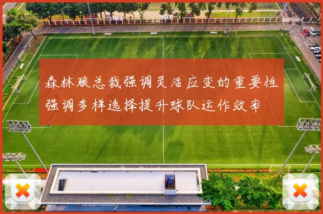 森林狼总裁强调灵活应变的重要性强调多样选择提升球队运作效率